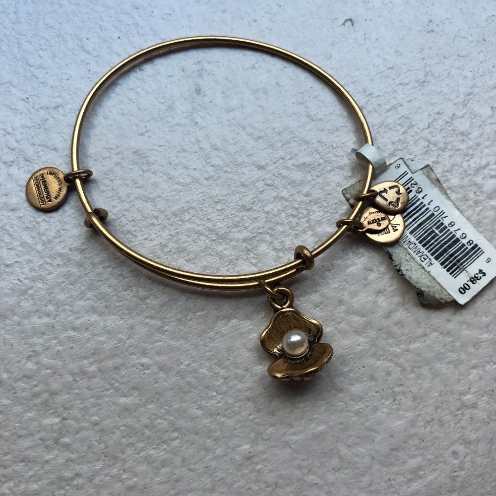 Alex and Ani bracelet (Pearl in a shell)